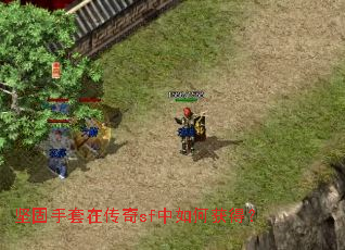 ��������ڴ���sf����λ�ã�