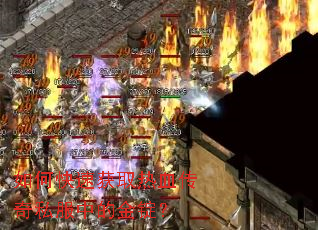 ��ο��ٻ�ȡ��Ѫ����˽���еĽ𶧣�