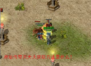 ԭʼ����������ȡ������ʲô��