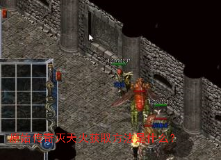 ԭʼ����������ȡ������ʲô��