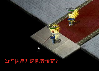 ��ο��������ưԴ��棿