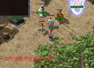 ��ο��������ưԴ��棿