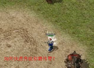 ��ο��������ưԴ��棿