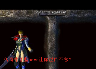 ��������Щboss�����Ŀ������