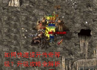 ��ο�����������ȼ�����������ȫ����