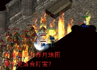 ţħ��������µ�ͼ�ĸ����ʺϴ򱦣�