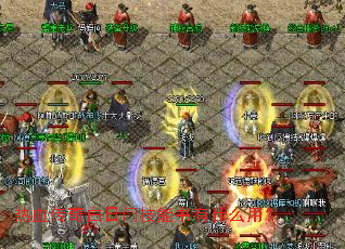 ��Ѫ��������ż�������ʲô�ã�