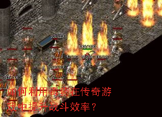 ������ö�ҩ�ڴ�����Ϸ������ս��Ч�ʣ�