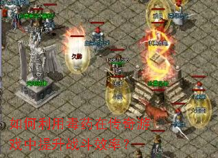 ������ö�ҩ�ڴ�����Ϸ������ս��Ч�ʣ�