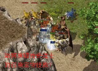 ������մ����ʿ���ٻ����＼�ܣ�