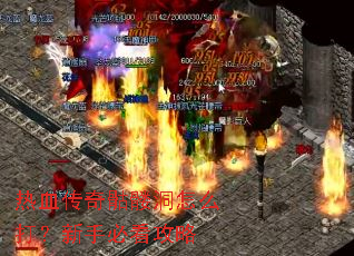 ��Ѫ�������ö���ô�����ֱؿ�����