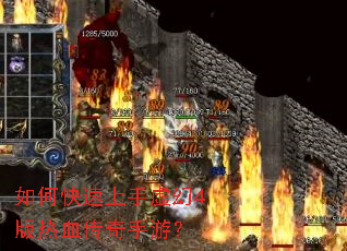 ��ο����������4����Ѫ�������Σ�