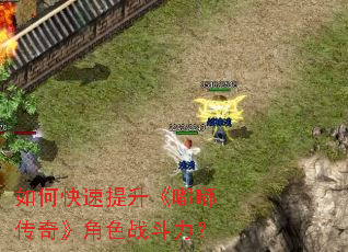 ��ο����������ུ��桷��ɫս������