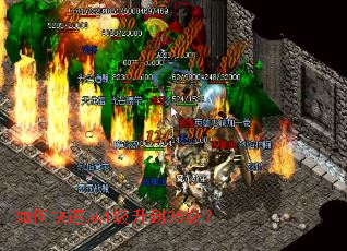 ��ο��ٴ�1������35����