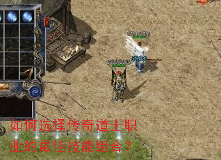 ���ѡ�����ʿְҵ����Ѽ�����ϣ�