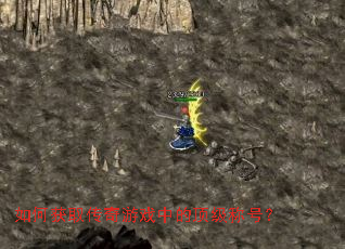 ��λ�ȡ������Ϸ�еĶ����ƺţ�