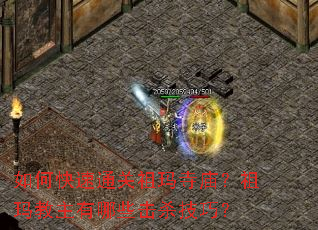 ��ο���ͨ�����������������������Щ��ɱ���ɣ�