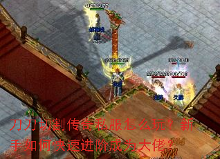 刀刀切割传奇私服怎么玩?新手如何快速进阶成为大佬? 刀刀切割传奇私服怎么玩?新手如何快速进阶成为大佬?