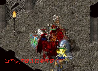 ��ο�������ְҵ�ȼ���