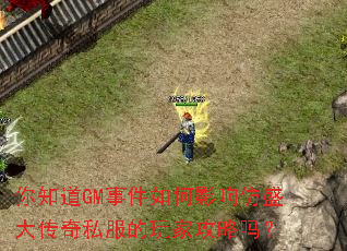 你知道GM事件如何影响仿盛大传奇私服的玩家攻略吗? 你知道GM事件如何影响仿盛大传奇私服的玩家攻略吗?