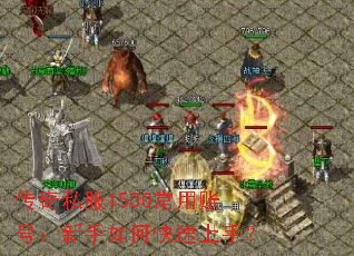 ����˽��1500�����˺ţ�������ο������֣�