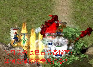 ������ɱ�渴��װ��ָ�ϣ����ѡ�����ר��������