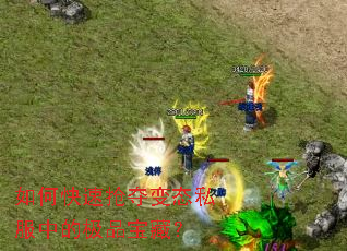 ��ο��������̬˽���еļ�Ʒ���أ�