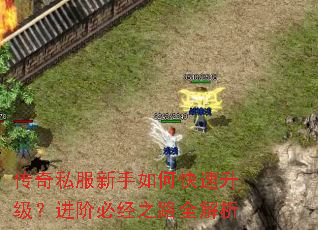 传奇私服新手如何快速升级?进阶必经之路全解析 传奇私服新手如何快速升级?进阶必经之路全解析