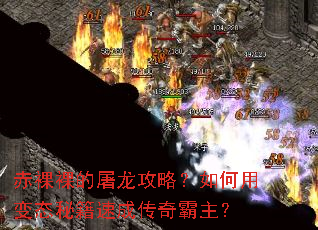 赤裸裸的屠龙攻略?如何用变态秘籍速成传奇霸主? 赤裸裸的屠龙攻略?如何用变态秘籍速成传奇霸主?