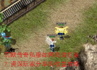 ��Ĭ����˽����θ�Ч���������ҷ��������湥��