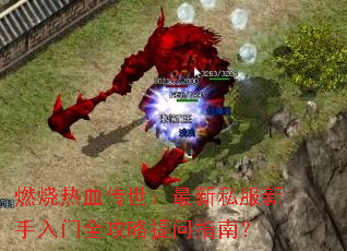 ȼ����Ѫ����������˽����������ȫ��������ָ�ϣ�