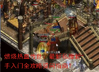 ȼ����Ѫ����������˽����������ȫ��������ָ�ϣ�