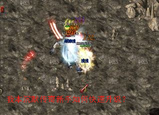 �ұ���Ĭ����������ο���������