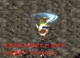 �������ҵ����׵���Ѫ����˽����վ�������ָ�㡣