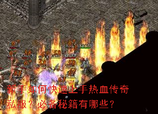 ������ο���������Ѫ����˽�����ر��ؼ�����Щ��