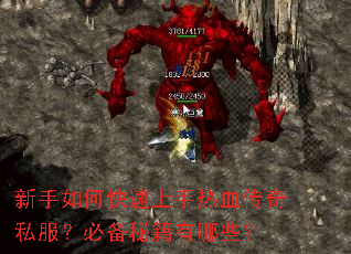 ������ο���������Ѫ����˽�����ر��ؼ�����Щ��