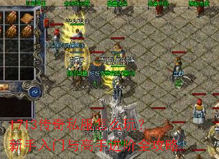 1713����˽����ô�棿������������ֽ���ȫ����