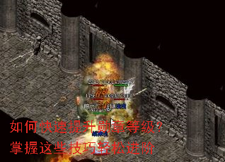 如何快速提升勋章等级?掌握这些技巧轻松进阶 如何快速提升勋章等级?掌握这些技巧轻松进阶