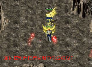 ������¿�����˽���п���������