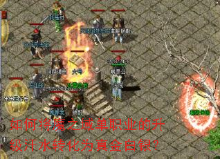 如何将魔之域单职业的升级汗水转化为真金白银? 如何将魔之域单职业的升级汗水转化为真金白银?