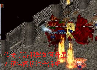 ������������������ǣ��ر����淨ȫ����