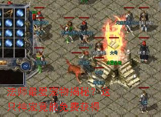 ��ʦ�������أ���ֻ��边����ѻ��