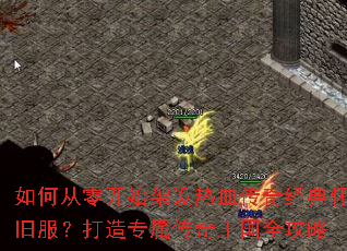 ��δ��㿪ʼ������Ѫ���澭�仳�ɷ�������ר����������ȫ����