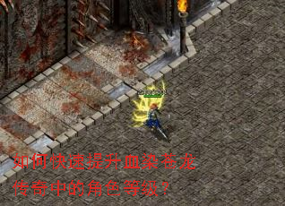 ��ο�������ѪȾ���������еĽ�ɫ�ȼ���