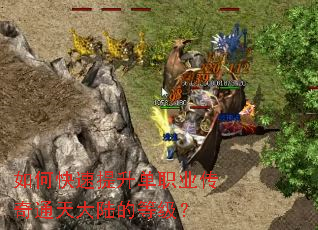 ��ο���������ְҵ����ͨ���½�ĵȼ���