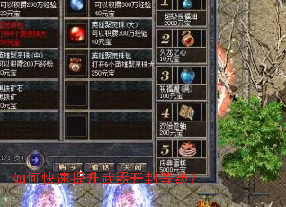 ��ο���������������ȼ���