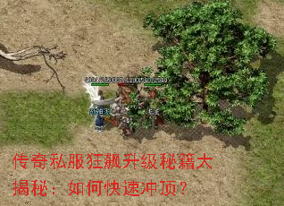 传奇私服狂飙升级秘籍大揭秘:如何快速冲顶? 传奇私服狂飙升级秘籍大揭秘:如何快速冲顶?