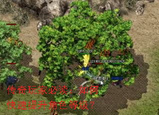 ������ұض�����ο���������ɫ�ȼ���