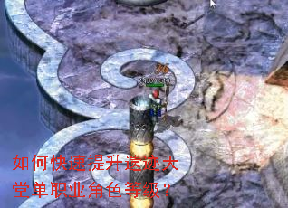 ��ο��������ż����õ�ְҵ��ɫ�ȼ���