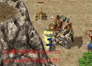 ��ο�������mishisengling��ɫ��ս������